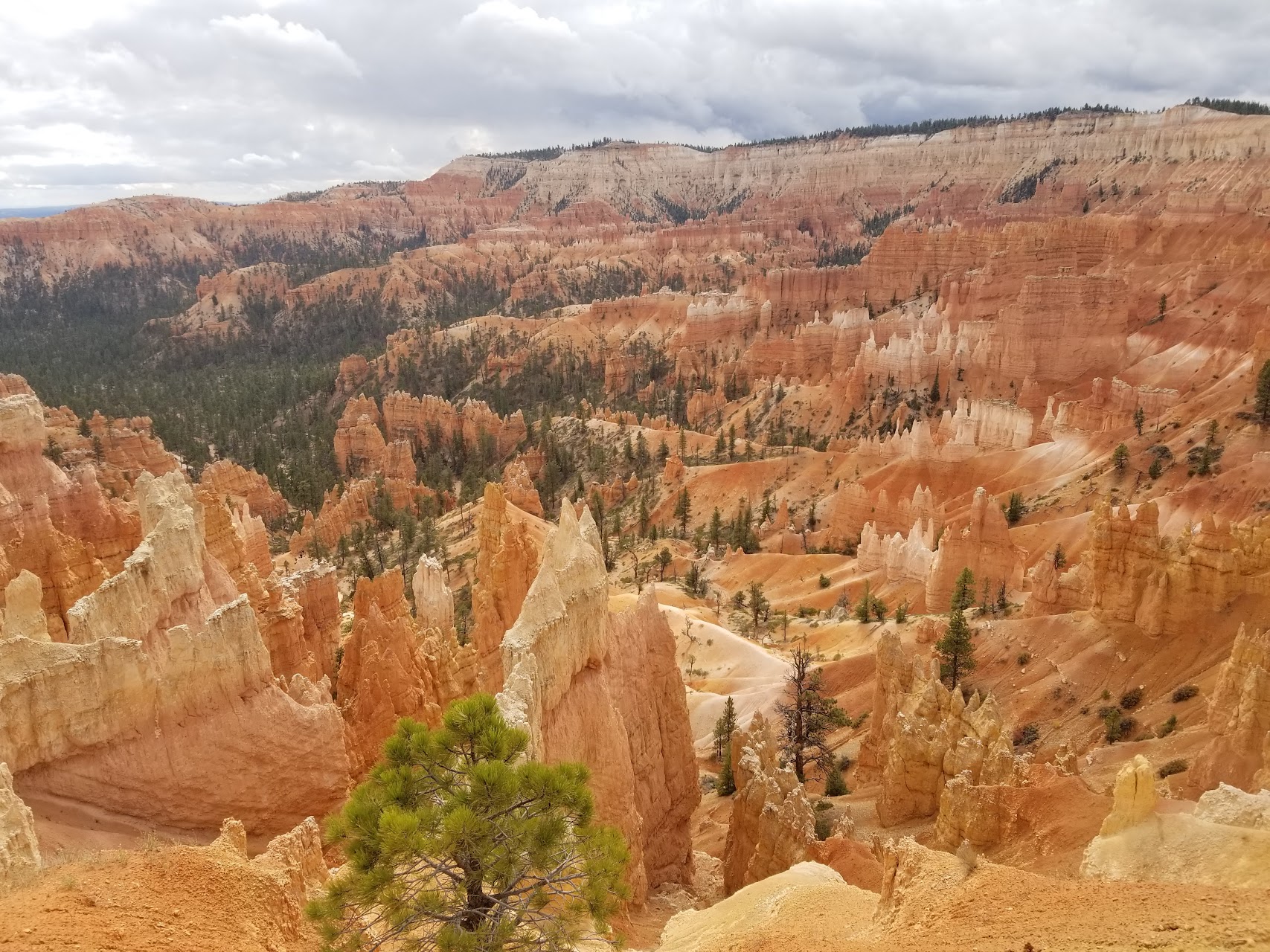 Bryce Canyon hoodoos