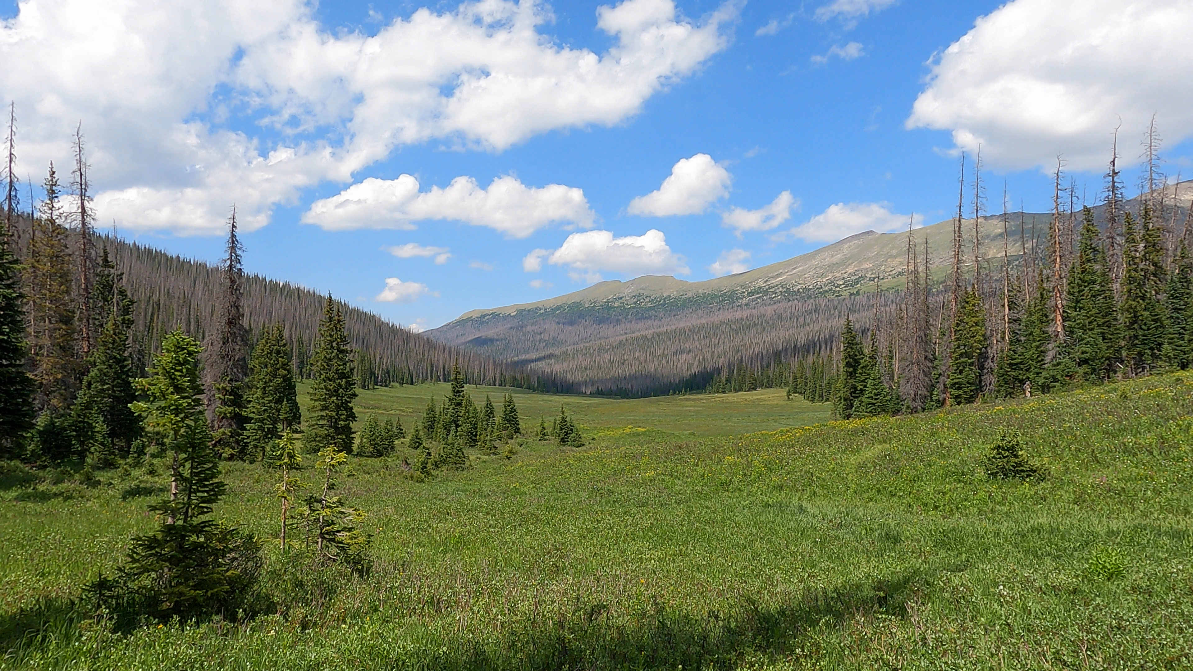 Chapin Pass Trail accessed from Old Fall River Road in Rocky Mountain National Park
