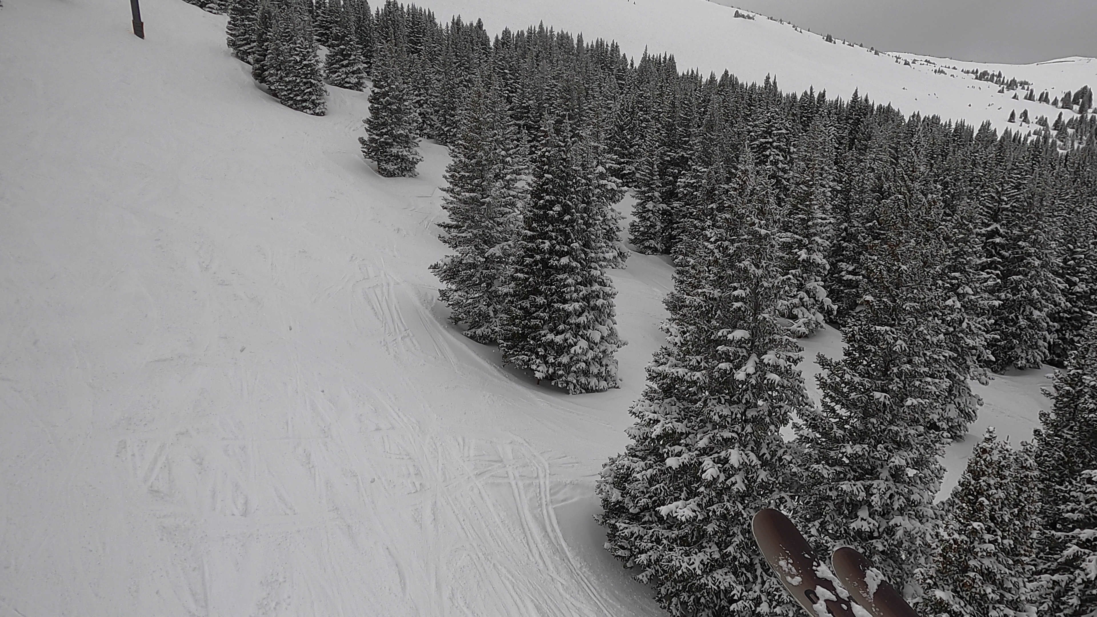Winter Park — Parsenn Bowl