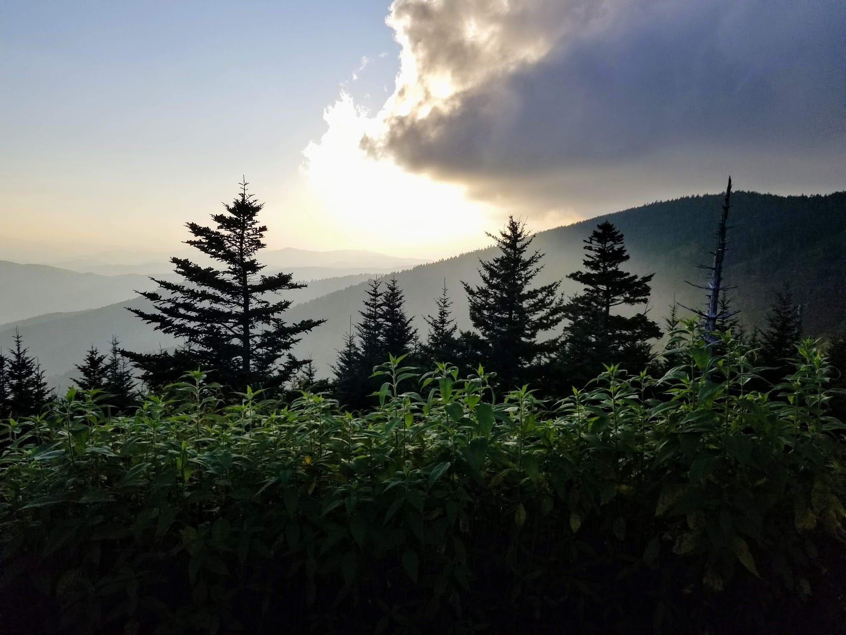 Great Smoky Mountains misty ridgelines